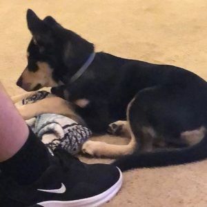 Meet your Posher, Lana